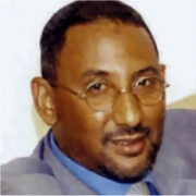 Source malienne : Ould Chafi inspirateur du nouveau mouvement djihadiste « (…) 