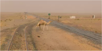 Mauritanie : Embarquez à bord du train du désert 