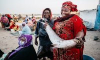 Mauritanie 2000 : vers l'indépendance économique des femmes de la filière pêche 