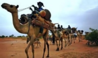 Un millier de Maliens en Mauritanie, fuyant d'éventuels combats entre armée (…) 