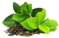 Le thé vert aide à lutter contre les méfaits du soleil ! 