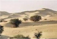 Sahel : quatre mois pour éviter la crise alimentaire 