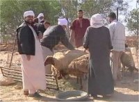 Libye : célébrations de l'Aïd au goût amer à Syrte 