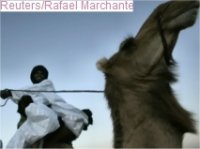 Les Tontons flingueurs du Sahara 