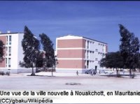 Recensement : entretien avec Riccardo Ciavolella, chercheur au CNRS et à l'EHESS 