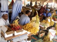Mauritanie : troisième festival des dattes à Tidjika 