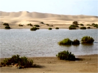 Sahara Occidental, sur les traces de l'Aéropostale 