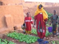 Mauritanie : les défis d'une production agricole locale 