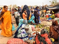 La crise au Mali affecte les commerçants mauritaniens 