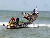 Accord Sénégal-Mauritanie : 300 licences remises aux pêcheurs de Saint-Louis 