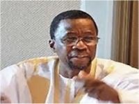 Mauritanie : le retour au bercail des activistes des FLAM 