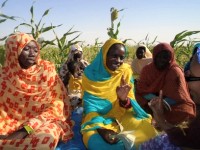 Un meilleur accès à l'eau et aux revenus en Mauritanie 
