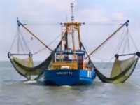 La Mauritanie et l'UE échouent à conclure un nouvel accord de pêche 