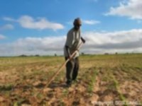 Agir pour éviter une nouvelle crise sahelienne 