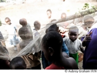 Le paludisme, fruit maudit de l'esclavage 