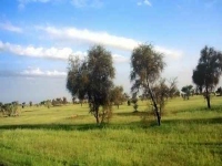 Quand l'écotourisme change la vie des villages mauritaniens