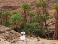 La Mauritanie veut redynamiser le secteur du tourisme — Vidéo 