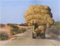 Deux gendarmes morts dans un accident de voiture sur la route Nouakchott-Rosso 