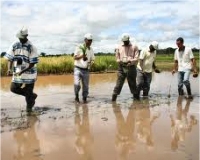 "L'agriculture c'est l'avenir, le diplôme c'est pour l'histoire", selon Diallo 