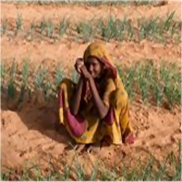 Mauritanie : « Il ne reste que de la poussière et du sable » 