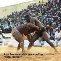 Des Sénégalais attendus à un gala de lutte en terre mauritanienne, à partir (…) 