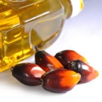 L'huile de palme pourrait lutter contre le cancer 