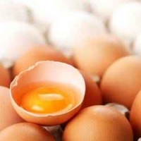 Le jaune d'œuf nuirait presque autant que le tabac à nos artères 