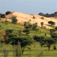 L'Hivernage : De l'eau, de la verdure… 