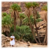 Tourisme : Mauritanie en décembre 2011 (retour) — Témoignage 