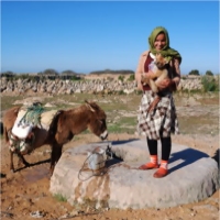 Le petit prince a raison 