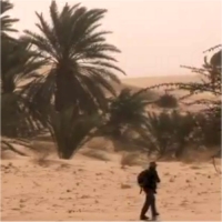 Tourisme : la Mauritanie toujours en zone rouge — Vidéo 